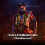 Pushpa 2 : The Rule whatsApp Status Video