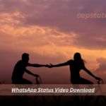 WhatsApp Status Video Download